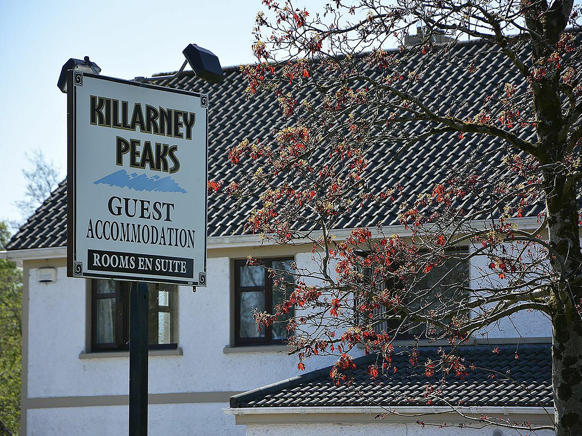 Killarney Peaks Guesthouse ภายนอก รูปภาพ